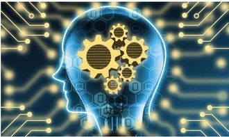 前三季度貴州新經(jīng)濟(jì)增加值達(dá)1992.90億元，互聯(lián)網(wǎng)商品零售展現(xiàn)強(qiáng)勁活力